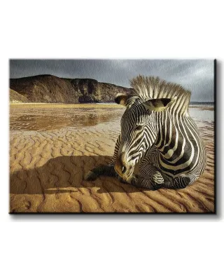 Zebra na plaży - Obraz na płótnie