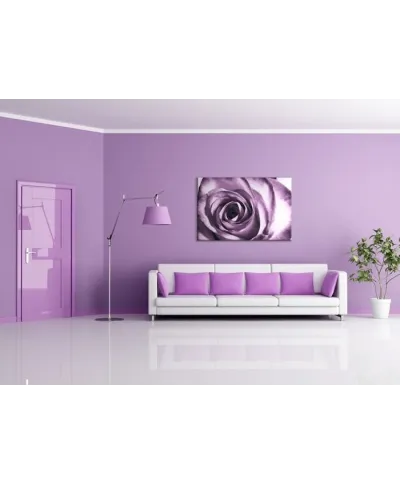 Purpurowa róża - Obraz na płótnie