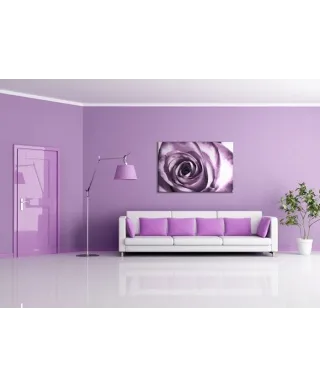 Purpurowa róża - Obraz na płótnie