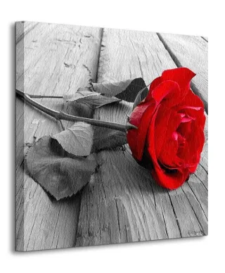 Obraz Ścienny - Róża na Pomoście - 40x40cm