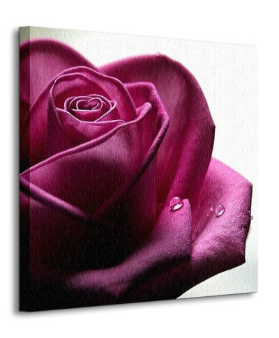 Smutna Róża - Obraz na płótnie