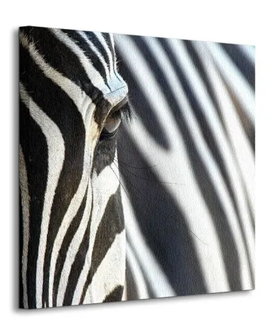 Zebra - Obraz na płótnie