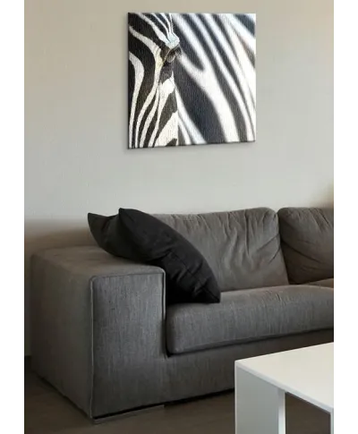 Zebra - Obraz na płótnie