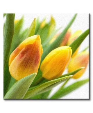 Żółte Tulipany - Obraz na płótnie