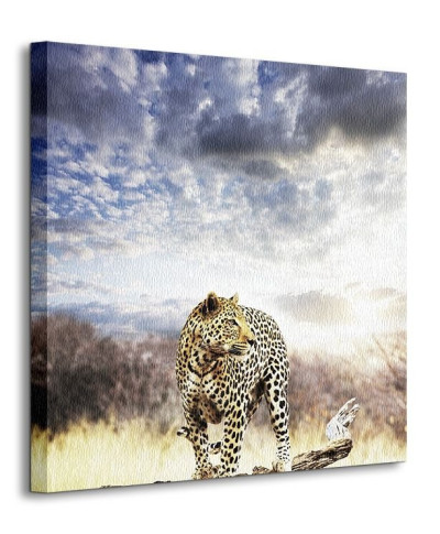 Leopard - Obraz na płótnie