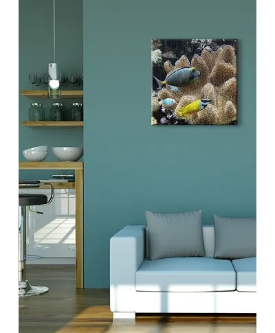 Poissons d'eau de mer - Obraz na płótnie