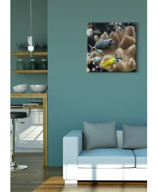 Poissons d'eau de mer - Obraz na płótnie