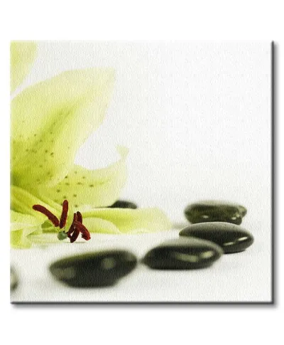 Zdrowie - Obraz na płótnie