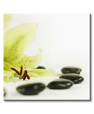 Zdrowie - Obraz na płótnie