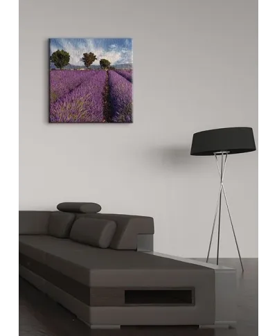 Lavender field in Provence, France - Obraz na płótnie
