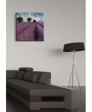 Lavender field in Provence, France - Obraz na płótnie
