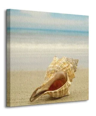 Muszla na plaży - Obraz na płótnie