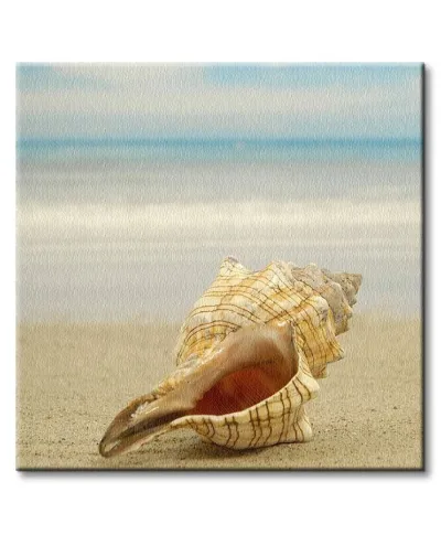 Muszla na plaży - Obraz na płótnie