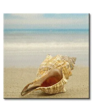 Muszla na plaży - Obraz na płótnie