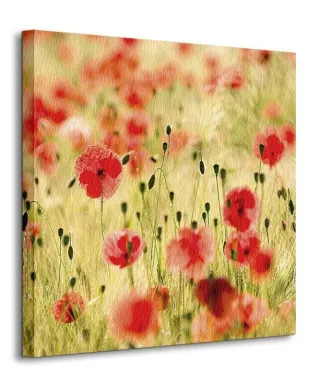 Maki, Monet - Obraz na płótnie