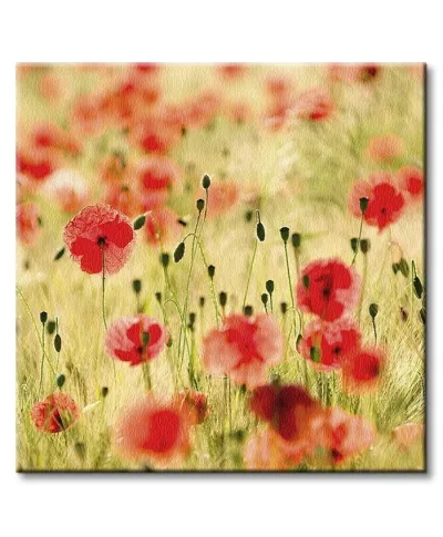 Maki, Monet - Obraz na płótnie