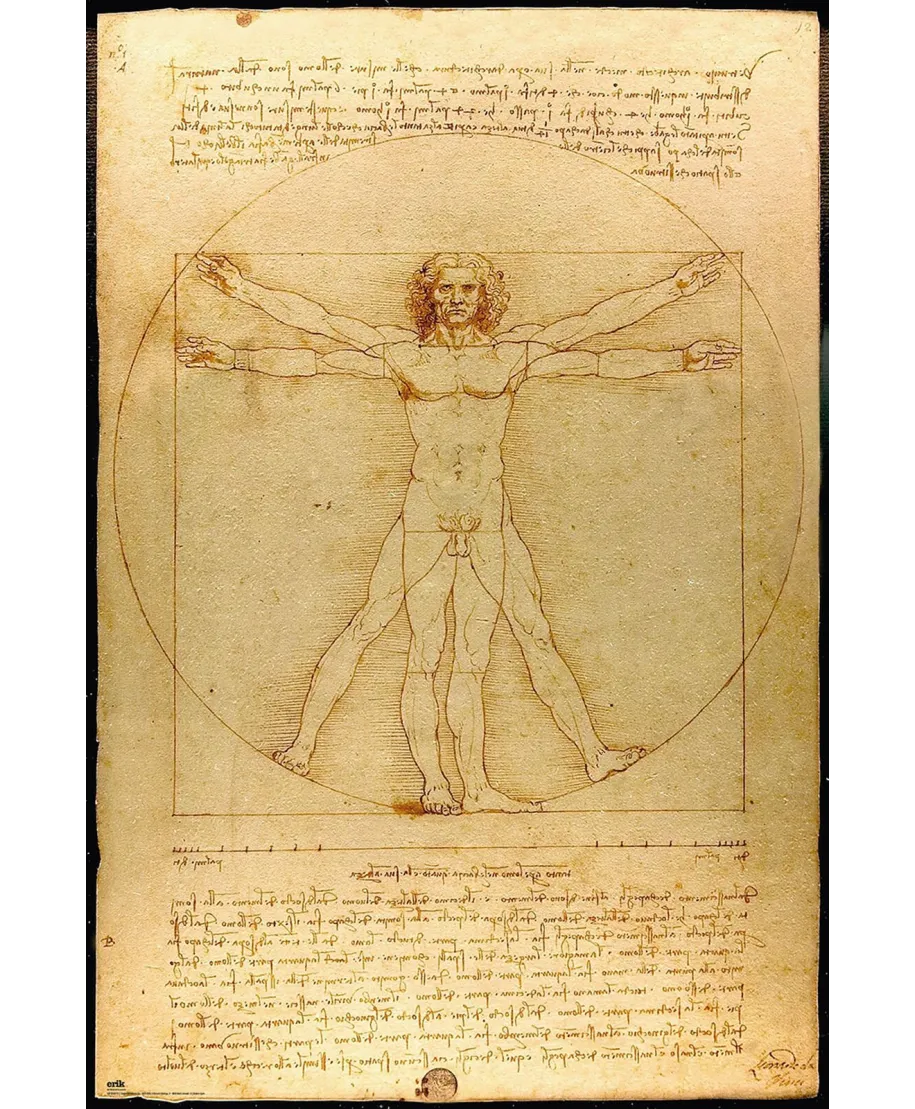 Leonardo da Vinci Człowiek witruwiański - plakat