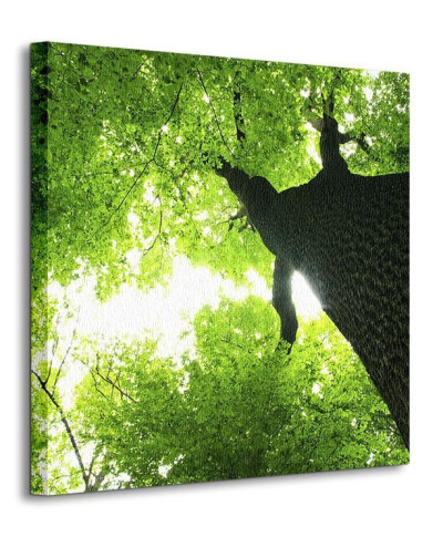Gigatyczne Drzewo - Obraz na płótnie