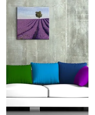 Francja, samotne drzewo - Obraz na płótnie