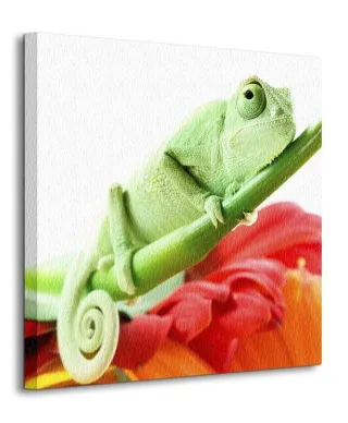 Kameleon na kwiatku - Obraz na płótnie