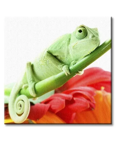 Kameleon na kwiatku - Obraz na płótnie