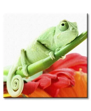 Kameleon na kwiatku - Obraz na płótnie