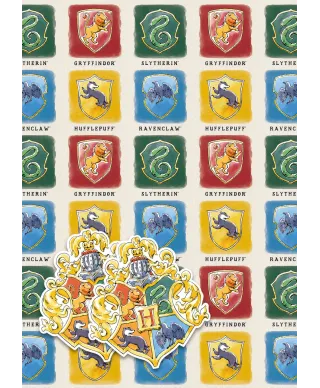 Harry Potter - papier do pakowania