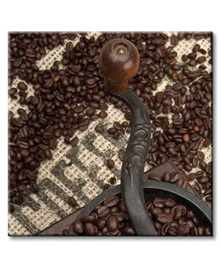 Coffee Beans and Grinder - Obraz na płótnie