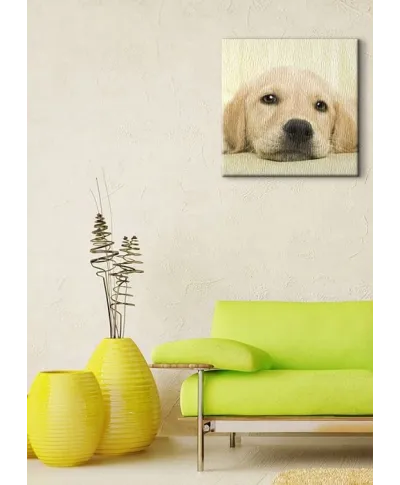 Golden retriever puppy - Obraz na płótnie