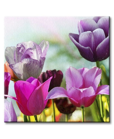 Obraz do salonu - Wiosenne Tulipany - 40x40 cm