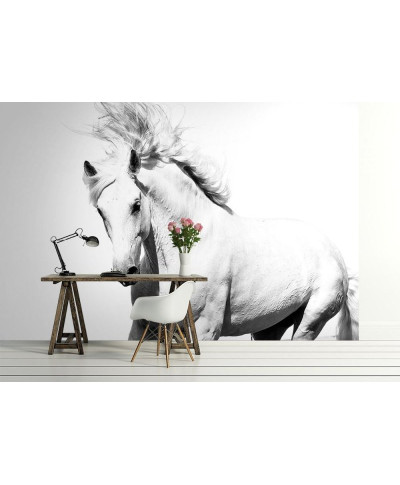 Fototapeta na ścianę - Arabski Koń - 366x254 cm