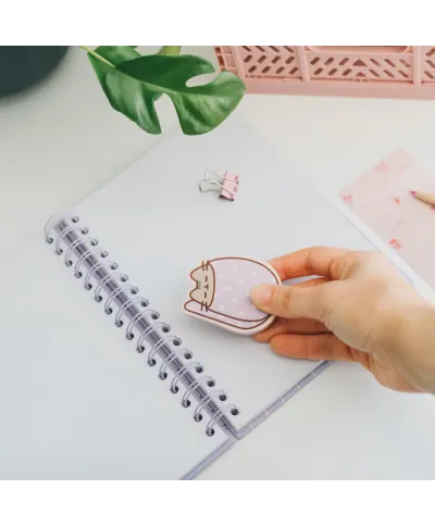 Pusheen Moments - gumki do mazania