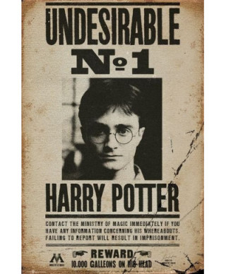 Harry Potter Undesirable No 1 - plakat