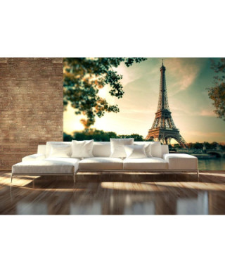 Fototapeta na ścianę - Paris France - 366x254 cm