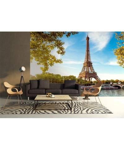 Fototapeta do salonu - Tour Eiffel Paris France - 366x254 cm