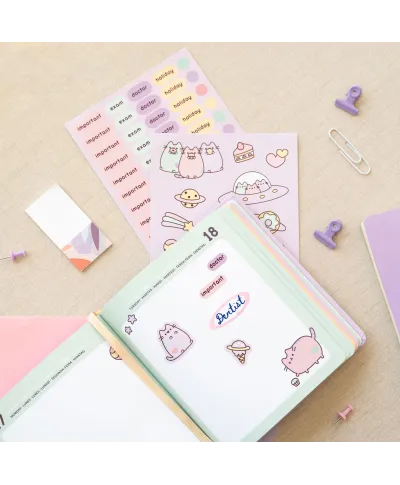 Pusheen Space Out - dziennik szkolny 2024/2025