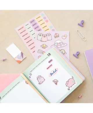 Pusheen Space Out - dziennik szkolny 2024/2025