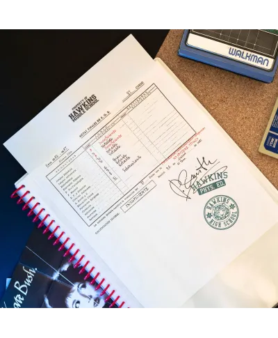 Stranger Things - skoroszyt A4