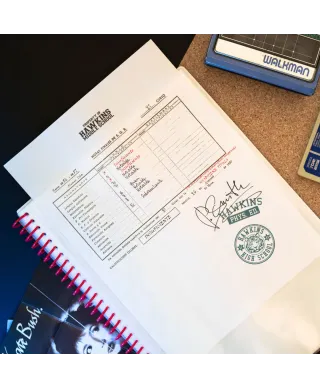 Stranger Things - skoroszyt A4