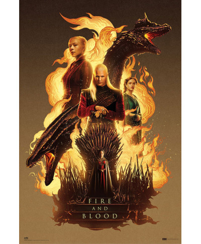 House Of The Dragon Fire And Blood - plakat