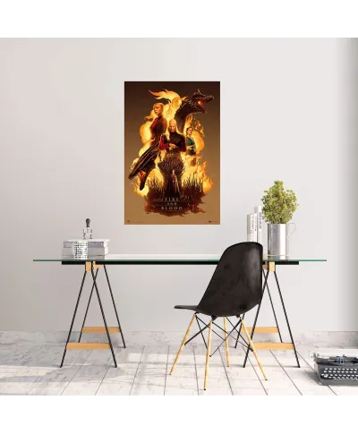 House Of The Dragon Fire And Blood - plakat