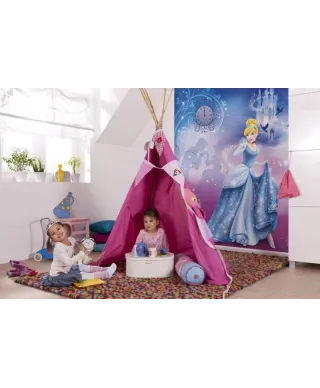 Fototapeta dla dzieci - Kopciuszek Disney - 184x254cm