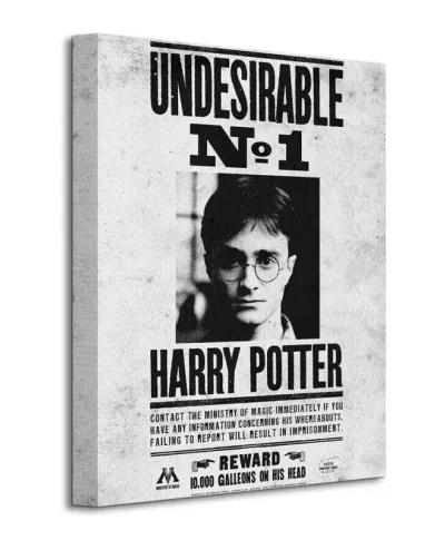 Harry Potter (Undesirable No.1) - Obraz na płótnie