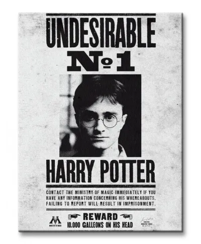 Harry Potter (Undesirable No.1) - Obraz na płótnie