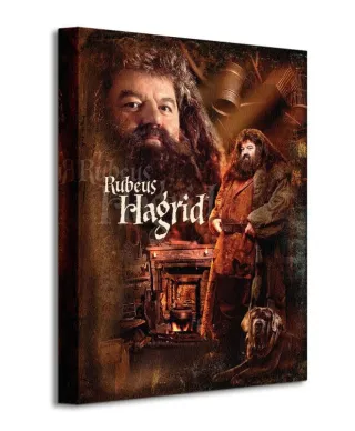 Harry Potter (Hagrid) - Obraz na płótnie
