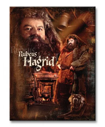 Harry Potter (Hagrid) - Obraz na płótnie