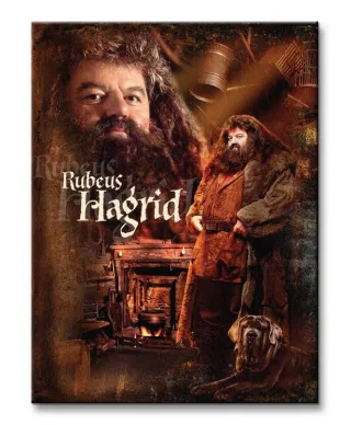 Harry Potter (Hagrid) - Obraz na płótnie