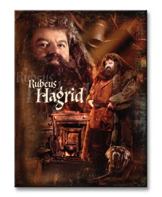 Harry Potter (Hagrid) - Obraz na płótnie