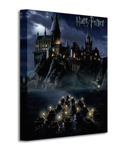 Obraz na płótnie  Harry Potter (Hogwarts School) - 30x40 cm