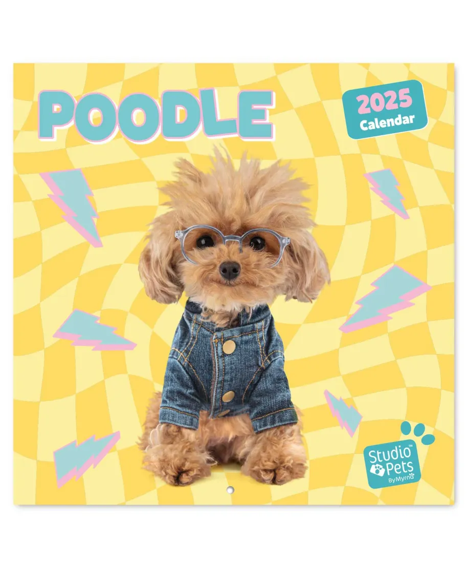 Studio Pets Poodle - kalendarz 2025